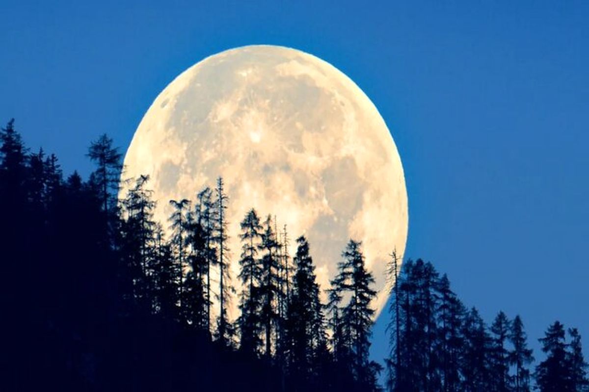 اگر روی ماه درخت بکاریم چه اتفاقی می‌افتد؟