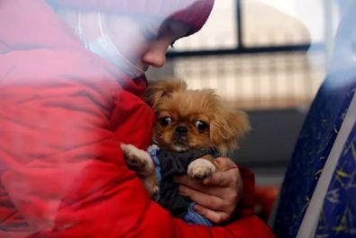 پناهجویان اوکراینی با حیوانات خانگی خود در مرز کشورها