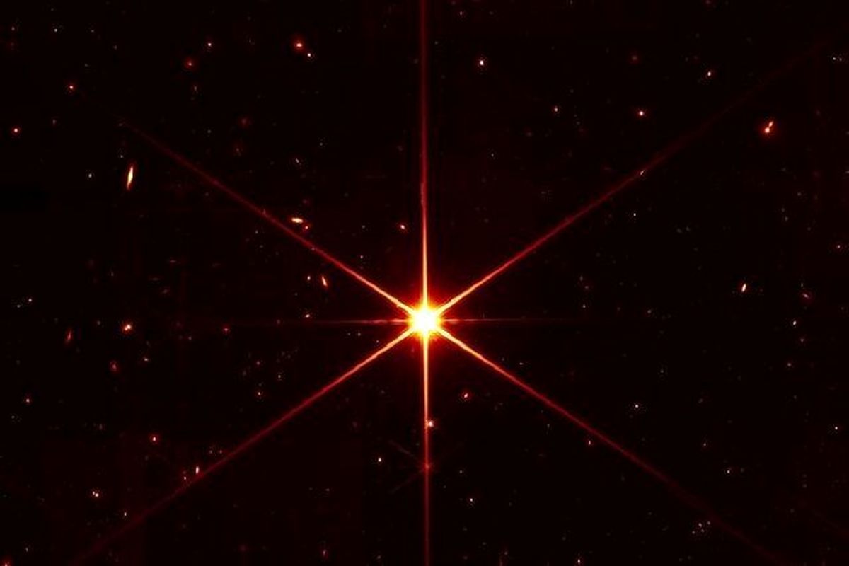 تصویر جعلی از یک ستاره که سوسیس از آب در آمد+عکس