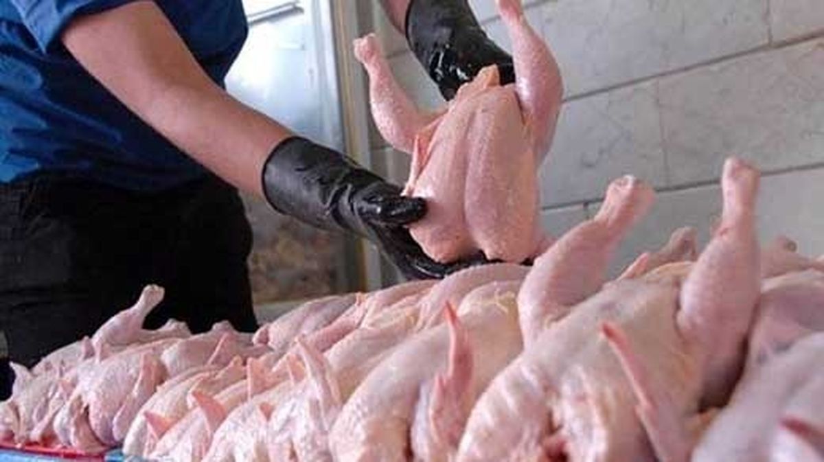 قیمت جدید گوشت مرغ در بازار تهران 