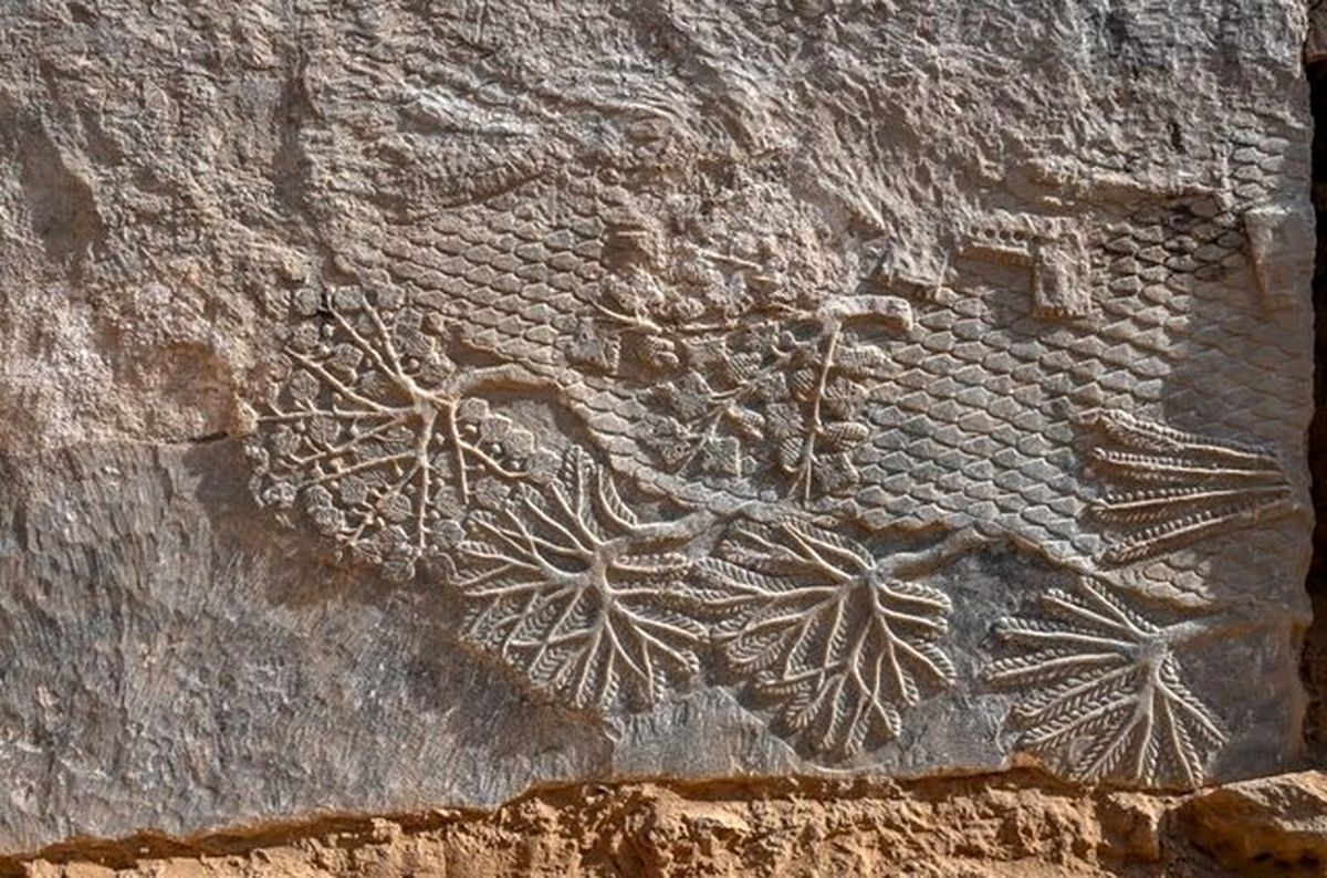 سنگ نگاره‌های آشوری در نینوا کشف شد! +عکس