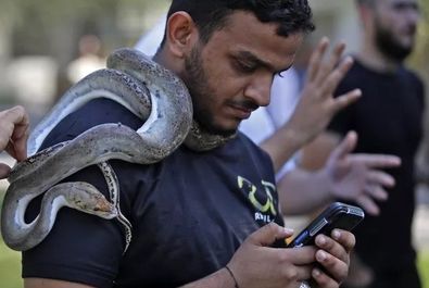 عکس با مار، عنکبوت و سوسمار در باغ وحش بغداد